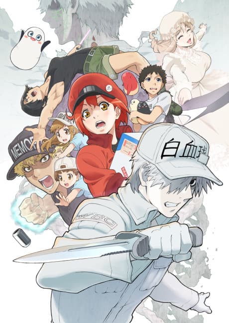 Hataraku Saibou Season 2